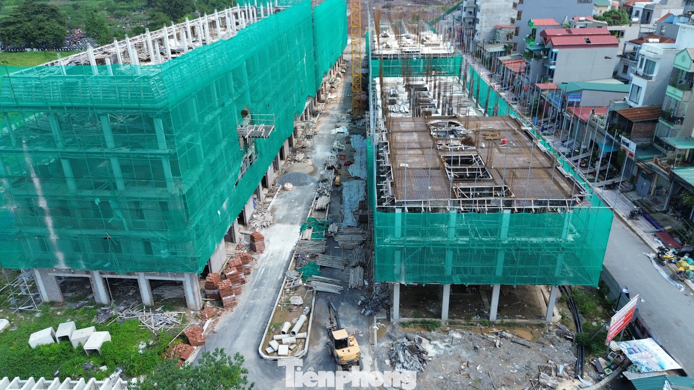 NƠXH Rice Long Châu ảnh 2 NOXH Rice Long Chau anh 2