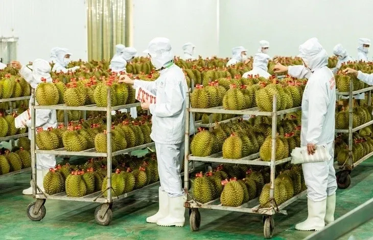 Cuc Trong trot len tieng viec 'tac' gan 2.000 container sau rieng hinh anh