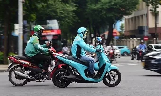 Green SM ảnh 1