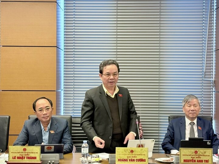 Dai bieu Quoc hoi: Neu de danh vang ma cung chiu thue thi can can nhac hinh anh