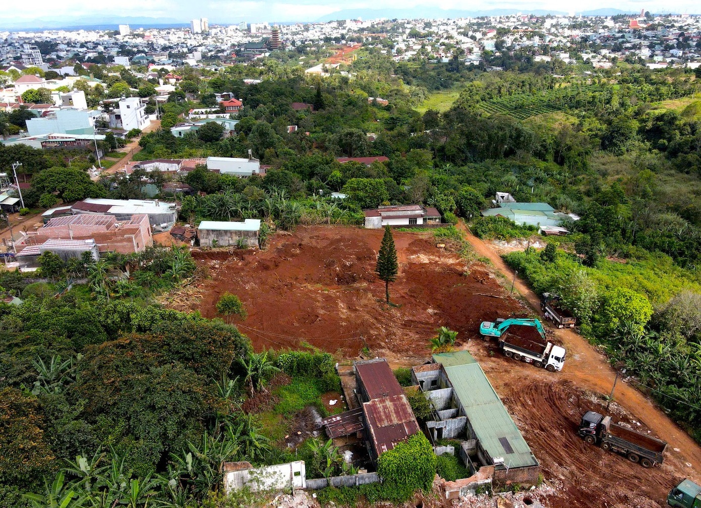 cuong che di doi anh 1