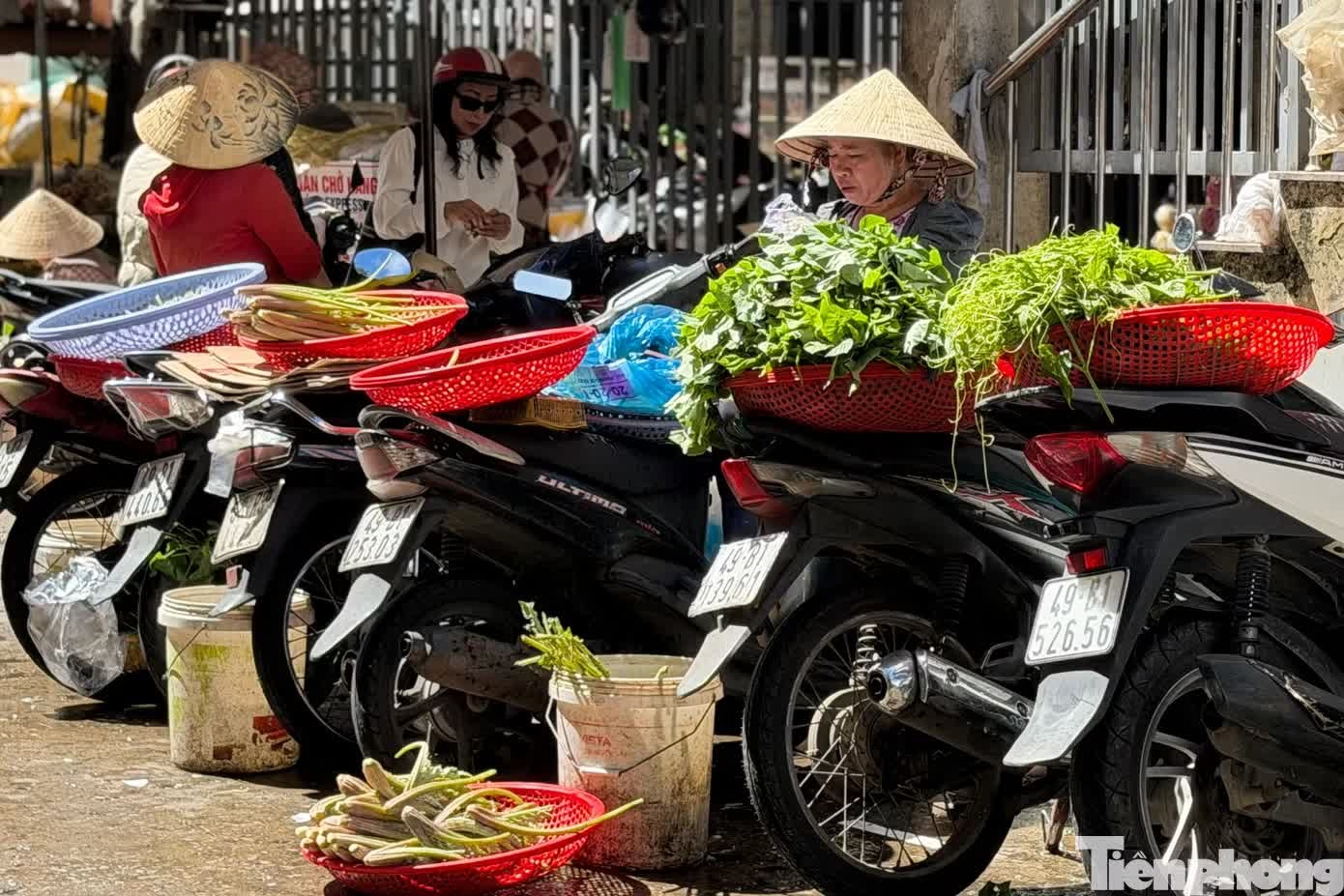 gi&aacute; rau ảnh 3