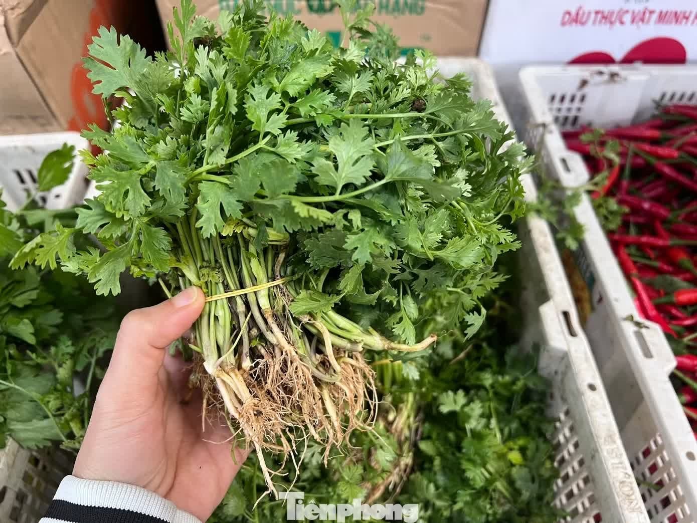 gi&aacute; rau ảnh 4