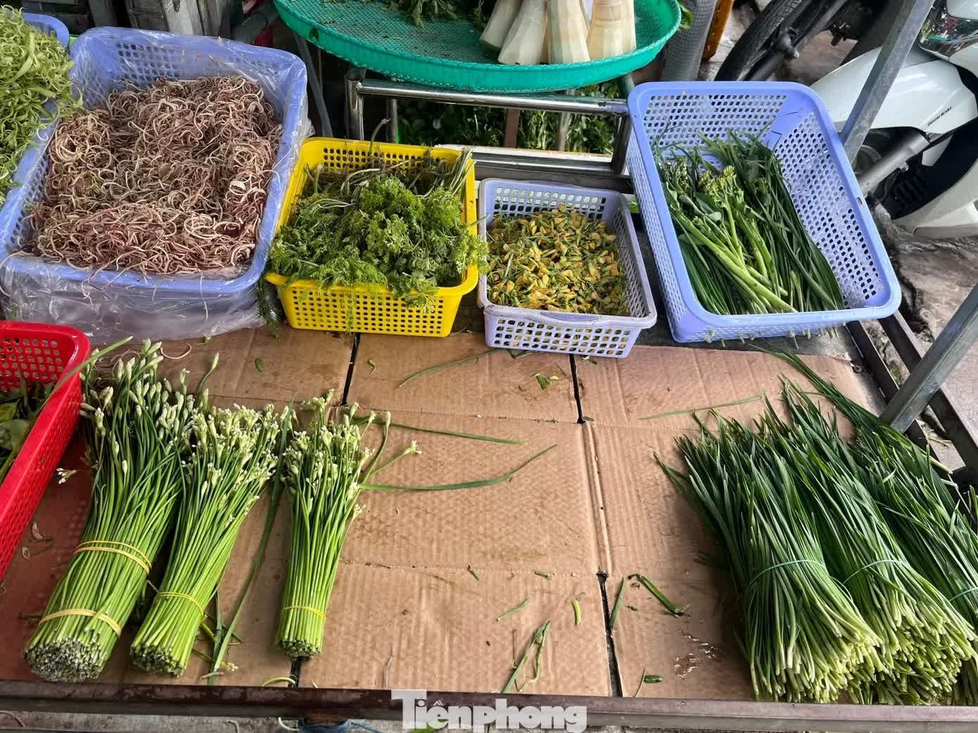 gi&aacute; rau ảnh 5