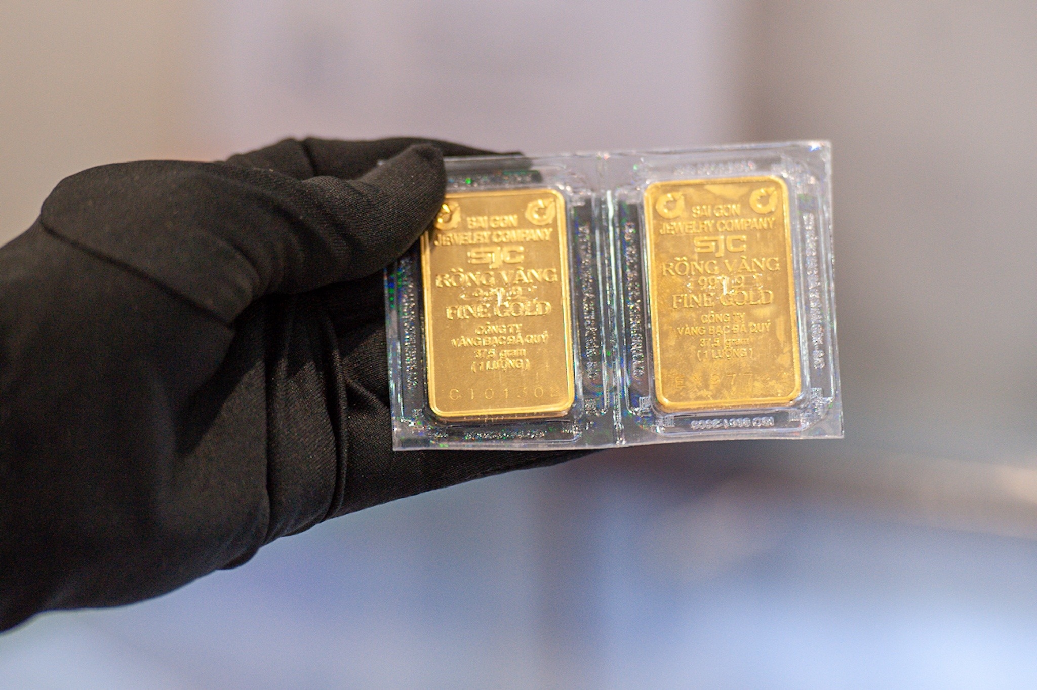 Dai bieu hoi 'dua vang vao danh muc hang binh on gia duoc khong' hinh anh