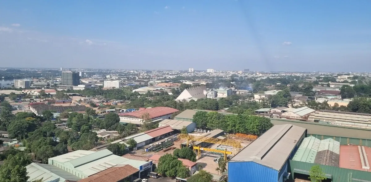 Dong Nai tinh thu chuc nghin ty tu dau gia 6 khu dat hinh anh