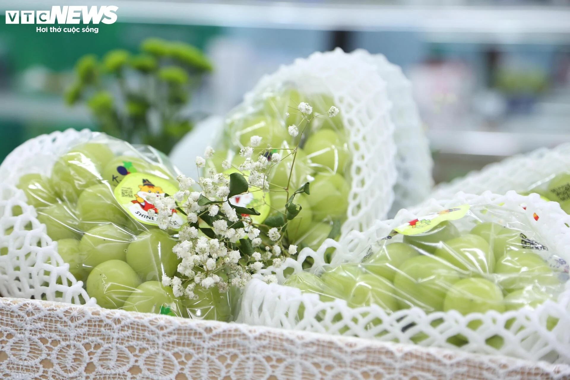 nhái nguồn gốc, người tiêu dùng ảnh 5 nhai nguon goc, nguoi tieu dung anh 5