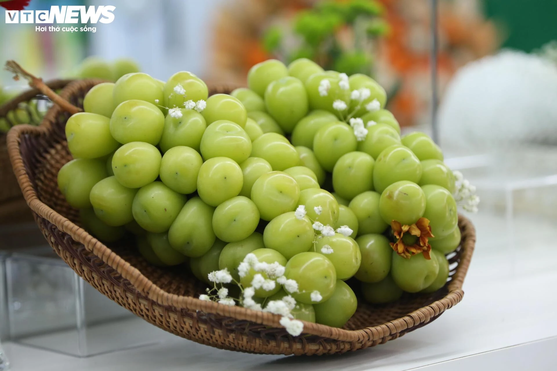 nhái nguồn gốc, người tiêu dùng ảnh 4 nhai nguon goc, nguoi tieu dung anh 4