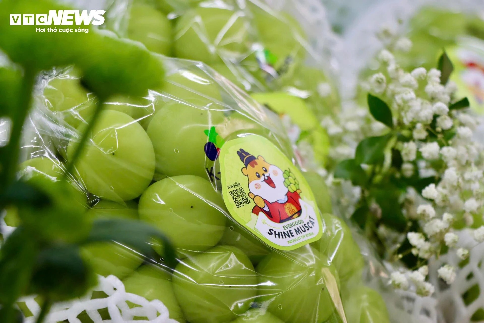 nhai nguon goc,  nguoi tieu dung anh 6