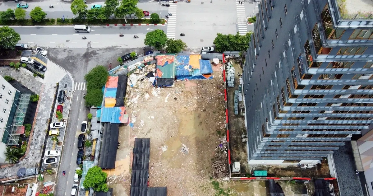 Chu du an cao oc 'dat vang' Ha Noi bi to hinh anh