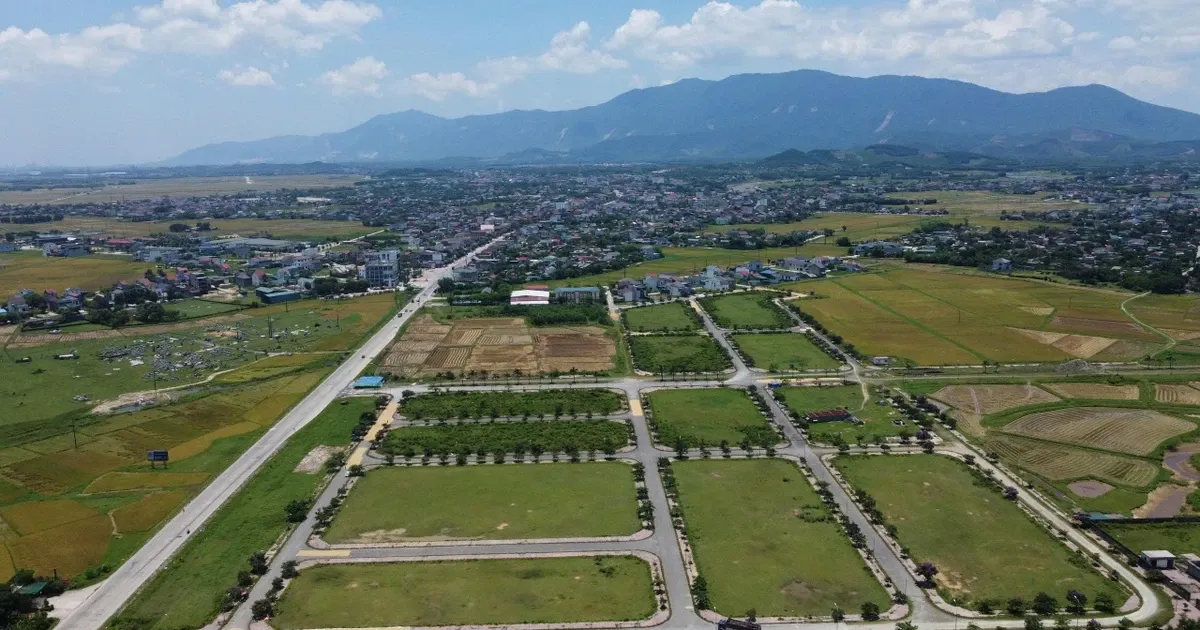 Ha Tinh: Gan 50 lo dat 10 nam e am bat ngo trung dau gia cao gay 'soc' hinh anh