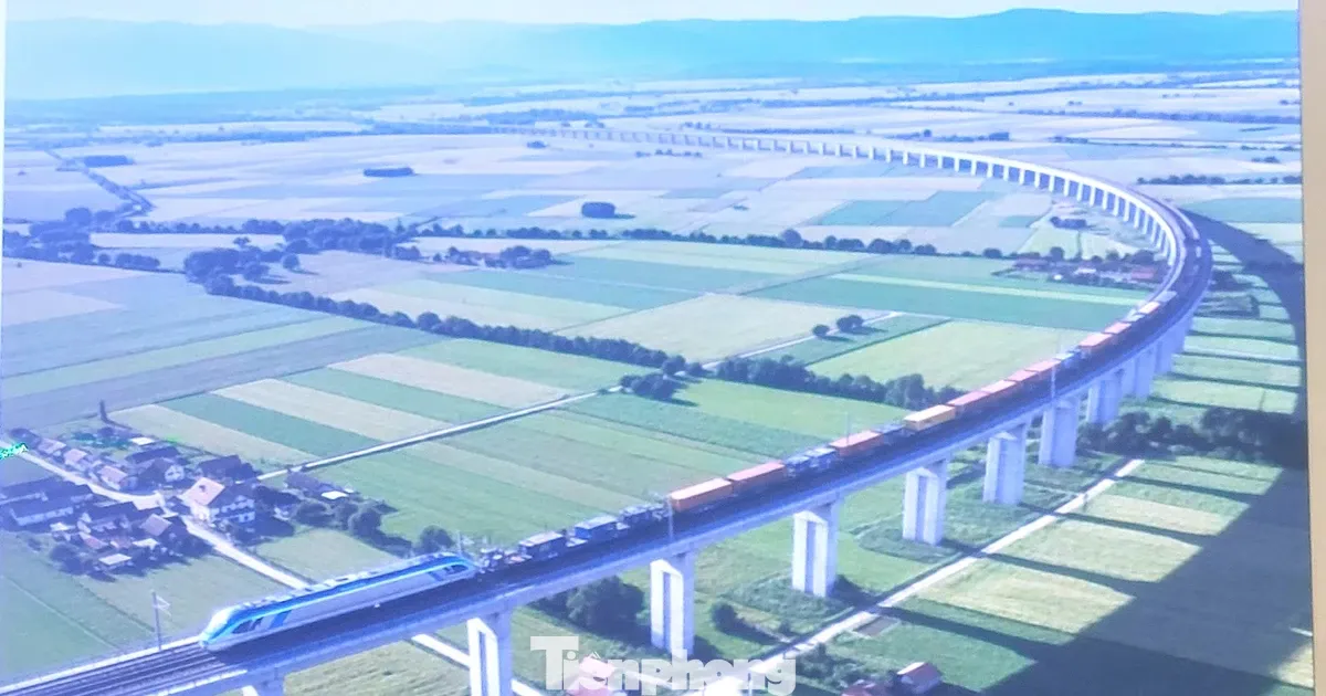 Chi tiet tuyen duong sat gan 170.000 ty dong ket noi TP.HCM - Dong Nai hinh anh