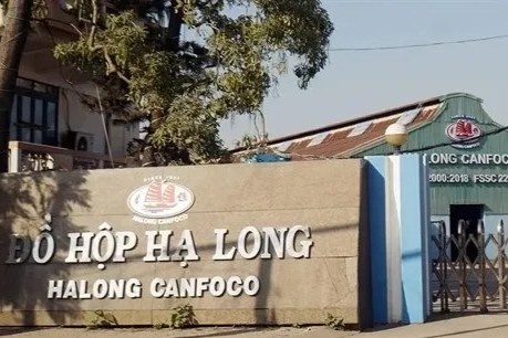 Lat gio qua trinh phat hien Do hop Ha Long lam pate bang thit heo benh hinh anh