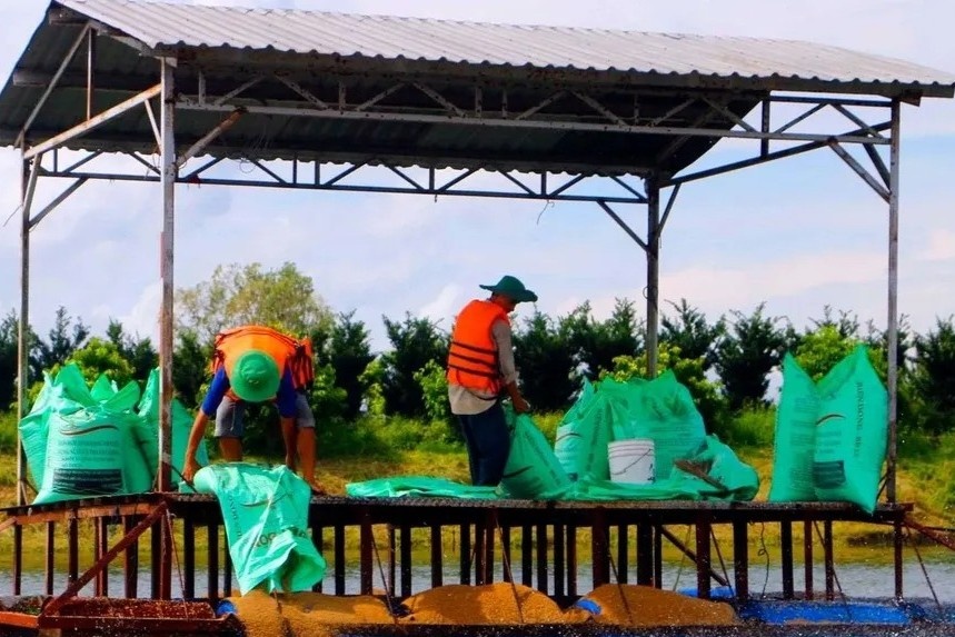 Thay gi tu ky luc xuat khau thuy san 11 ty USD? hinh anh