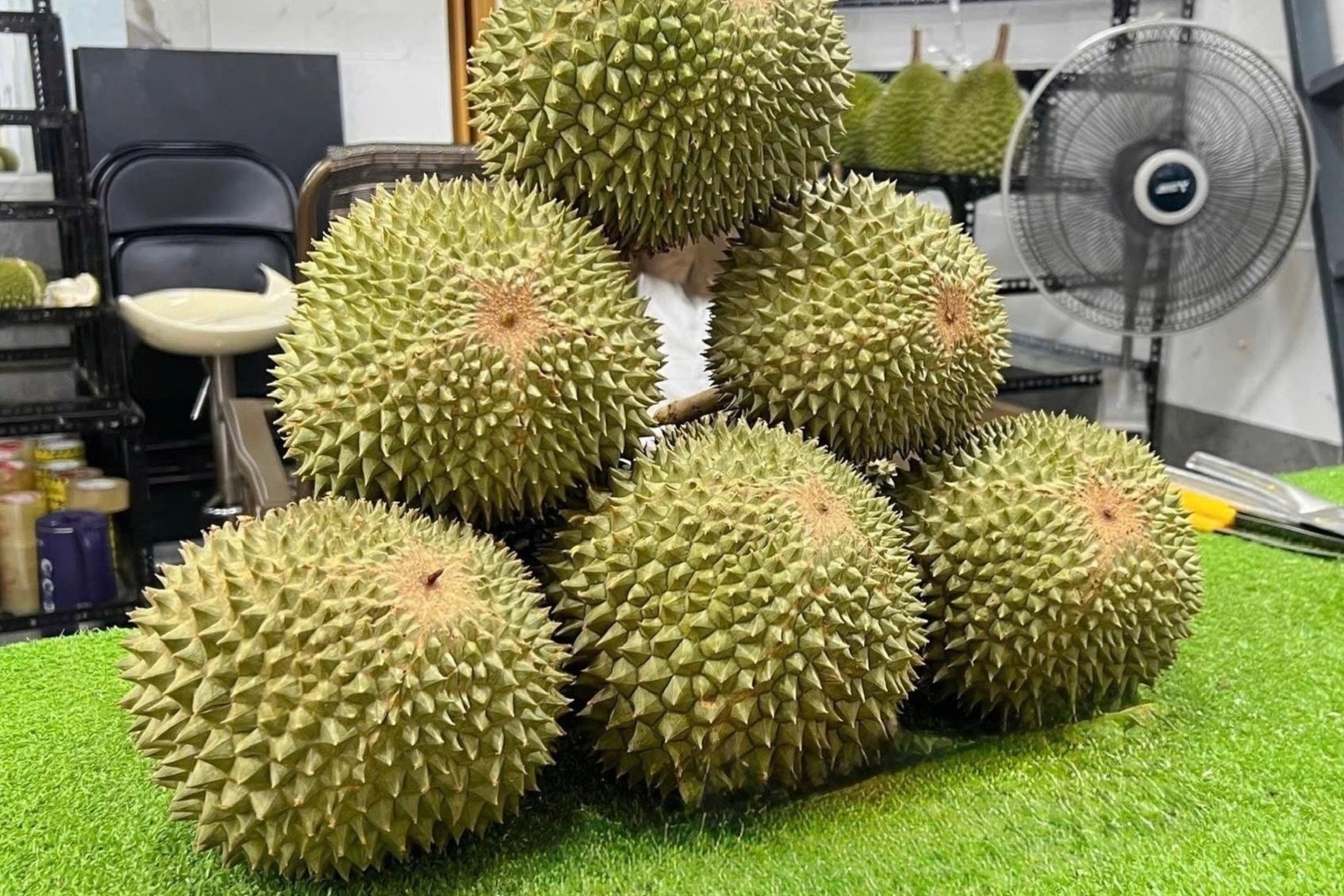 Sau rieng gai den tien trieu moi trai van 'chay hang' hinh anh