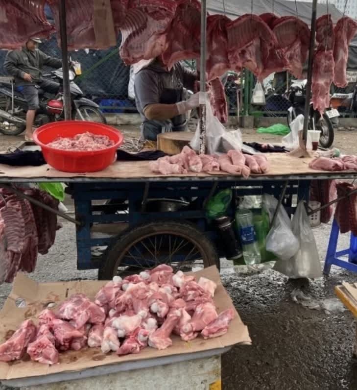 tr&aacute;i c&acirc;y ảnh 1