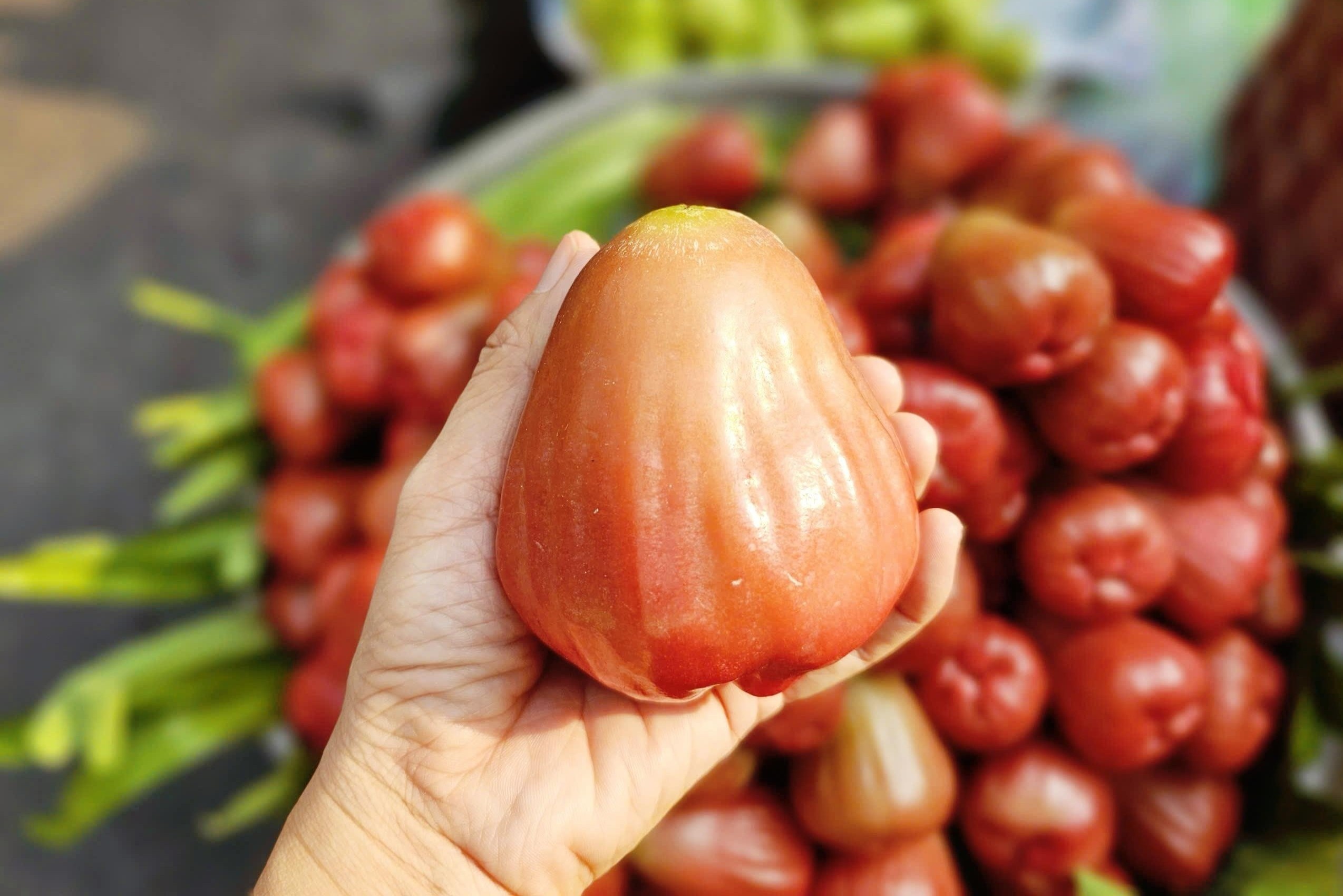 3-4 trai man hong gia 200.000 dong, khach van xuong tien mua hinh anh