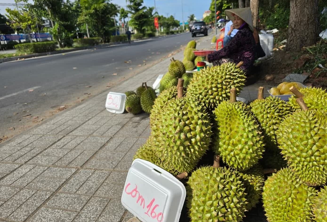 Nguyen nhan gia sau rieng 're nhu beo' hinh anh