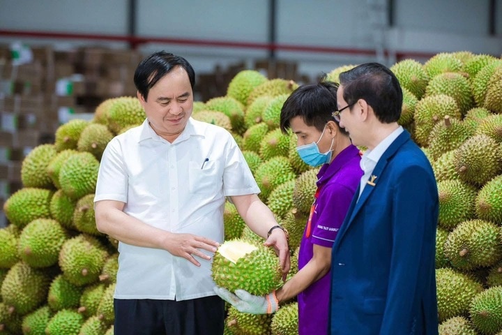 sau rieng anh 3