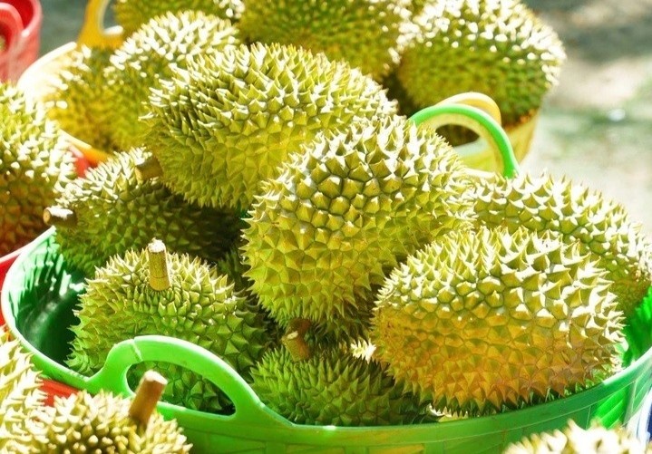 Sau rieng rot gia: Loi ra nao cho 'vua' trai cay? hinh anh
