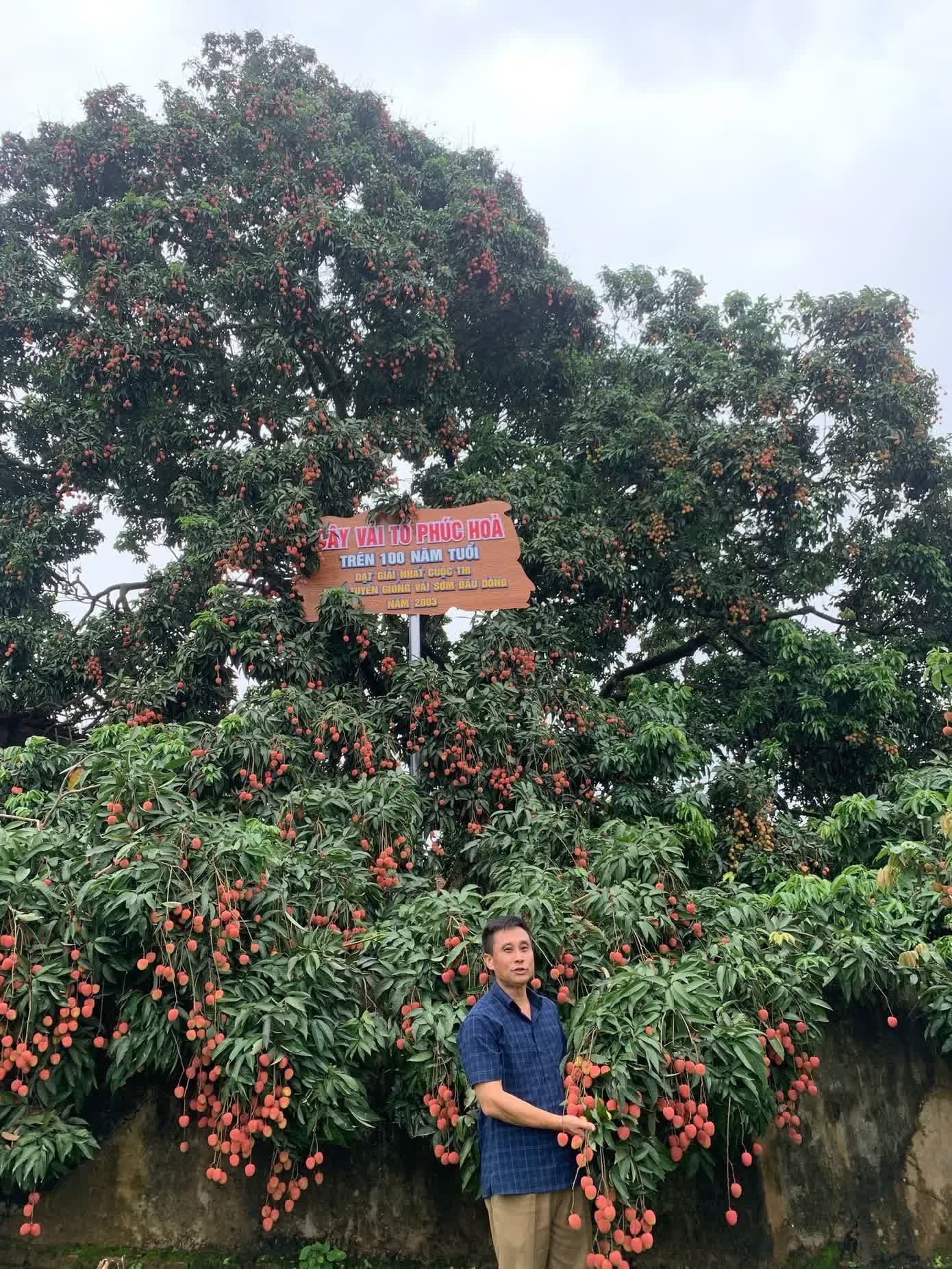 vai thieu anh 6