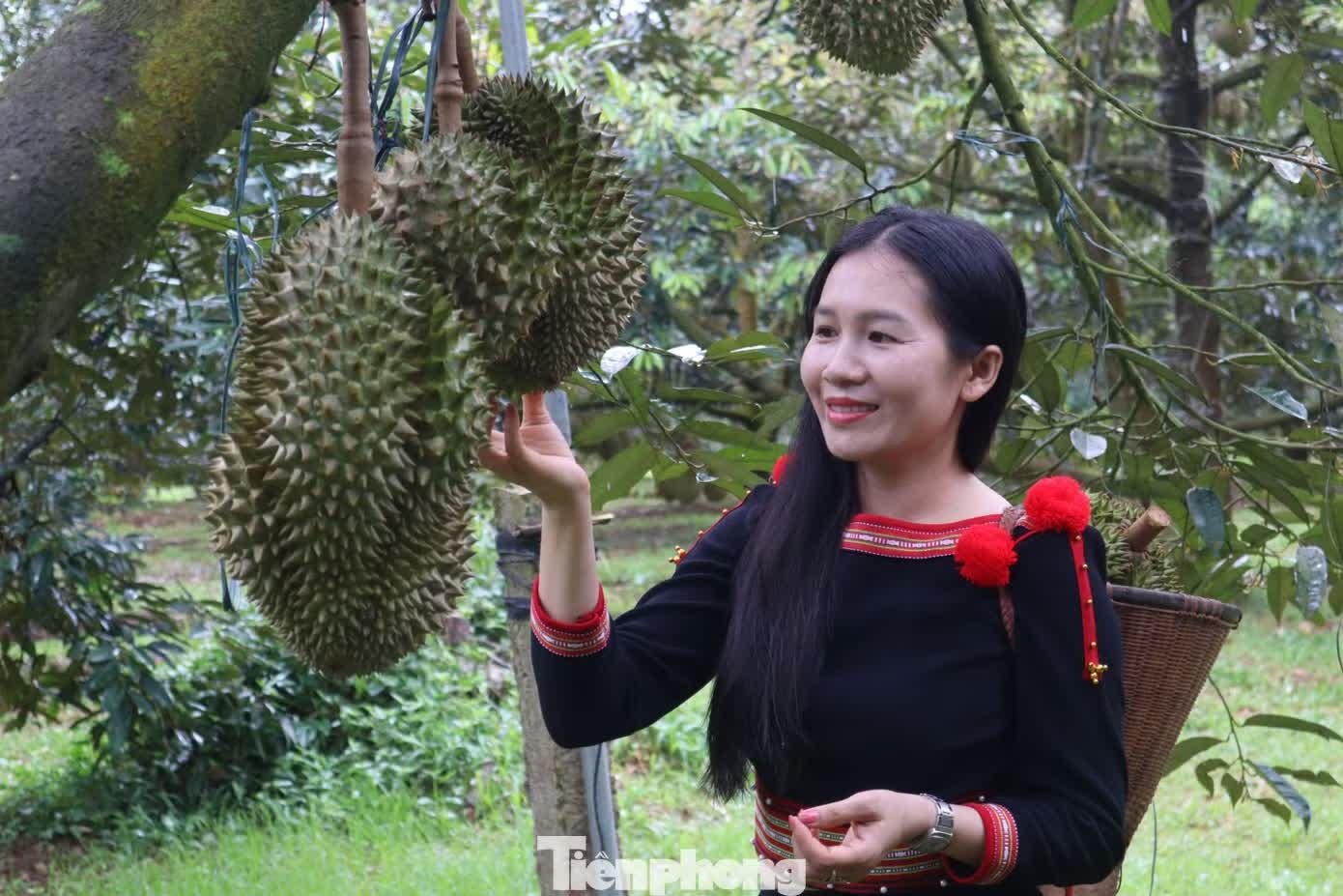 500 xe cho sau rieng sap dieu hanh o Dak Lak hinh anh