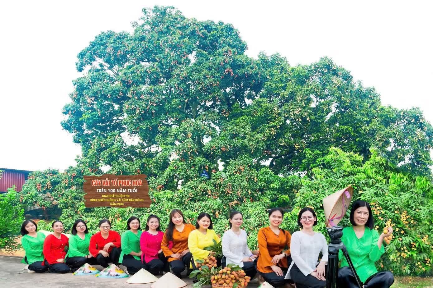 vai thieu anh 1