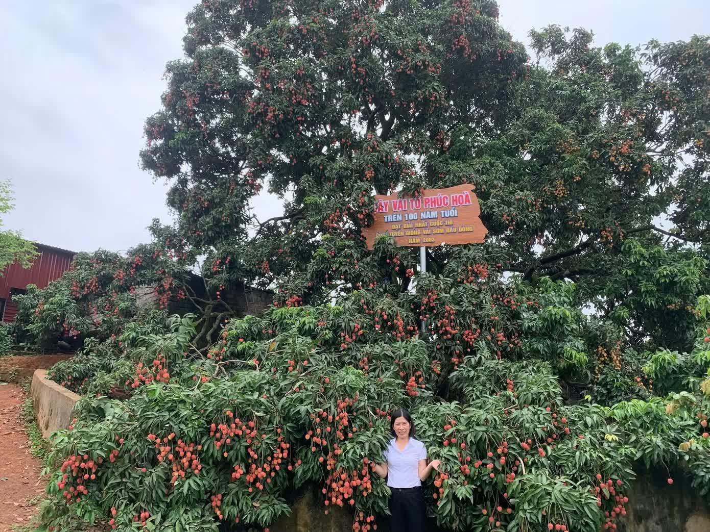 vai thieu anh 2