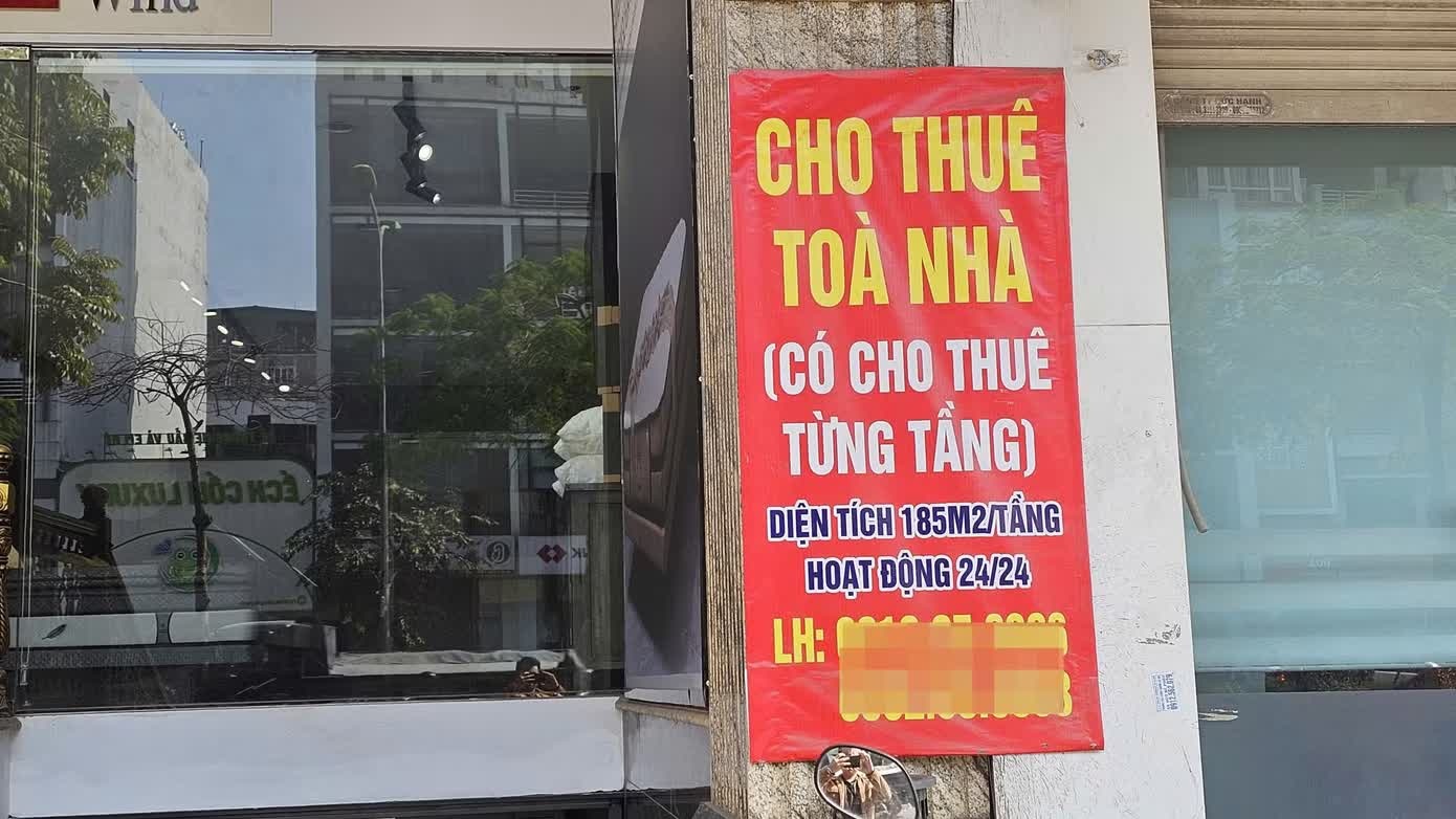 doanh thu cho thue anh 2