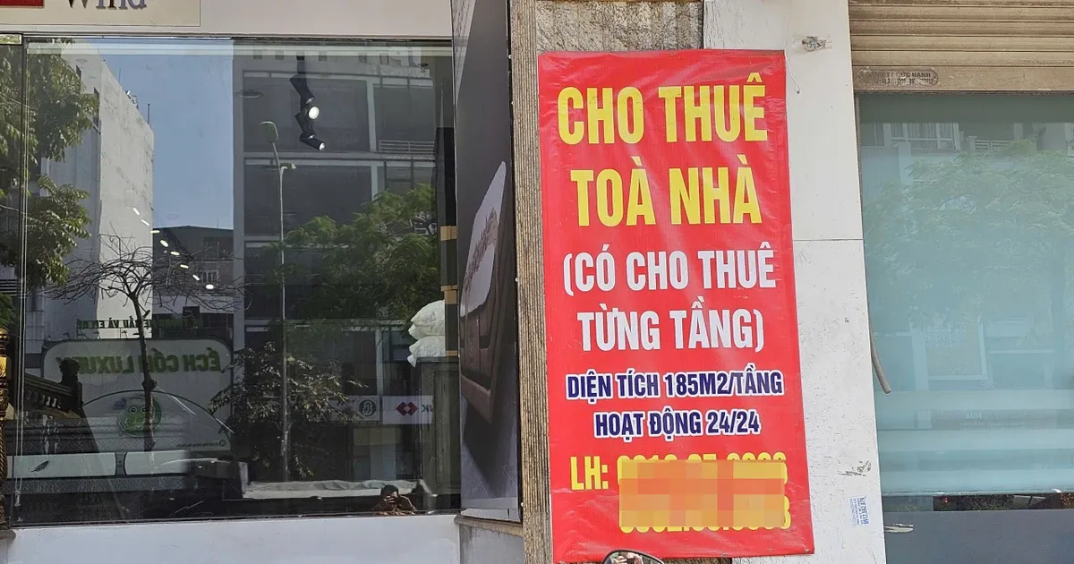 Co nhieu nha cho thue, doanh thu tren 1 ty dong/nam nop thue ra sao? hinh anh