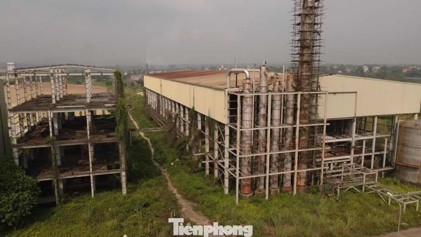 Ethanol Phu Tho anh 3