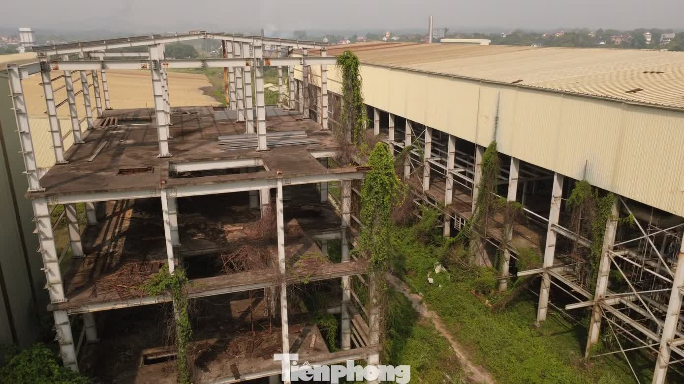 Ethanol Phu Tho anh 5