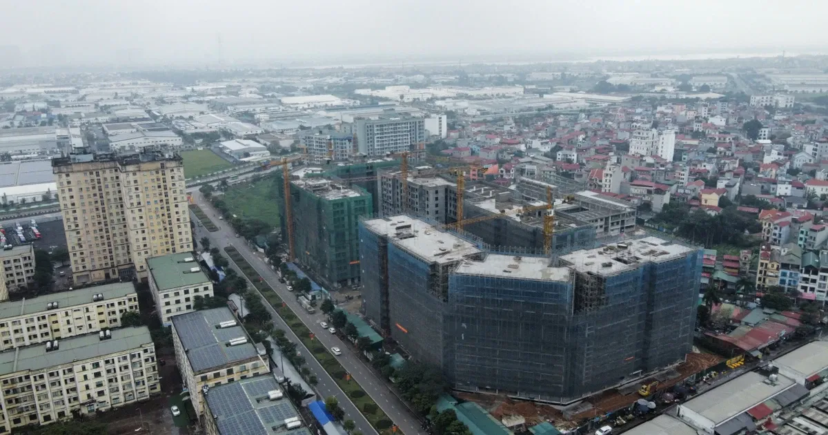 Xon xao dan 'khu nha giau' di boc tham gianh suat mua nha xa hoi hinh anh