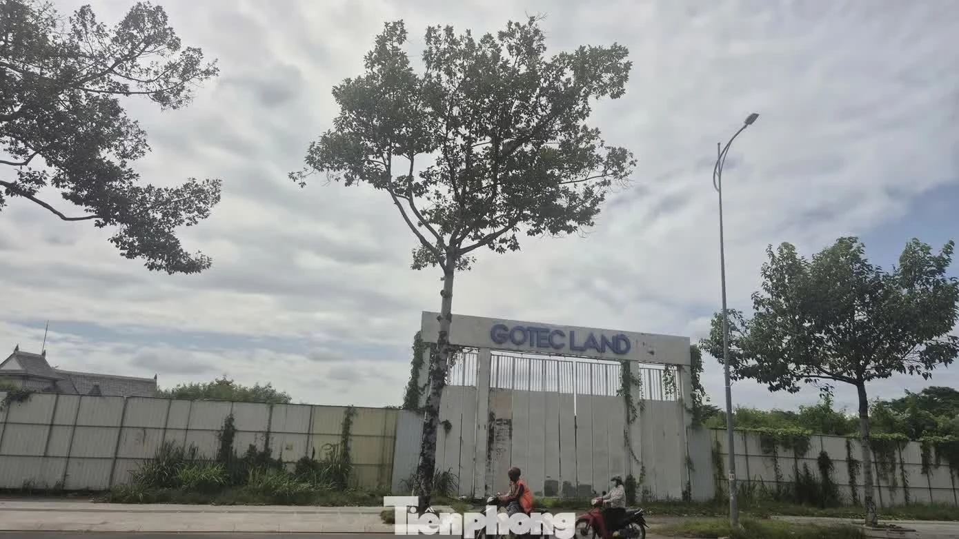 si&ecirc;u đ&ocirc; thị ảnh 1