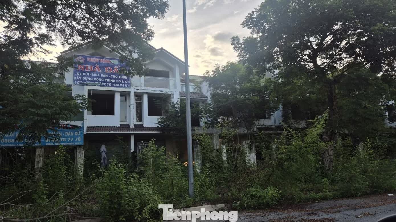 si&ecirc;u đ&ocirc; thị ảnh 12