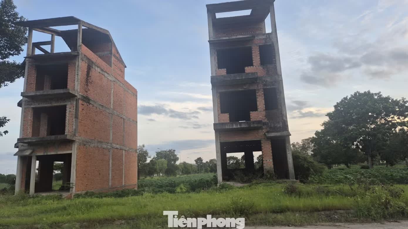 si&ecirc;u đ&ocirc; thị ảnh 14