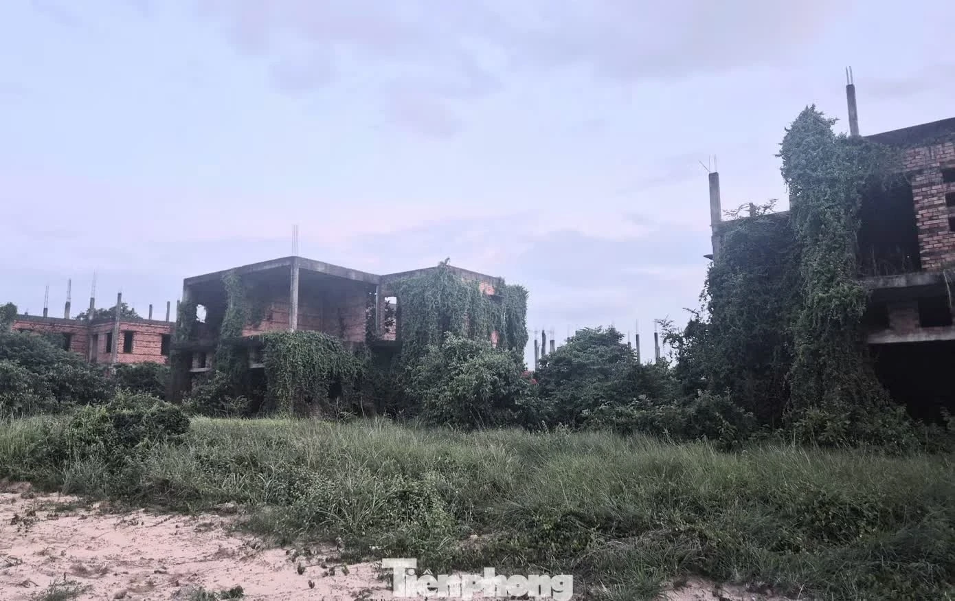 si&ecirc;u đ&ocirc; thị ảnh 15