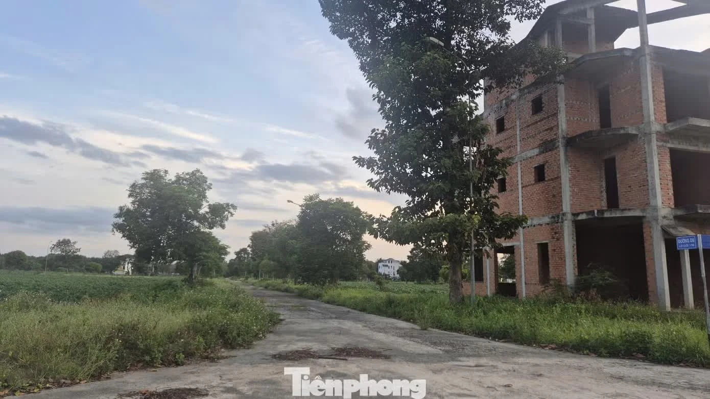si&ecirc;u đ&ocirc; thị ảnh 16