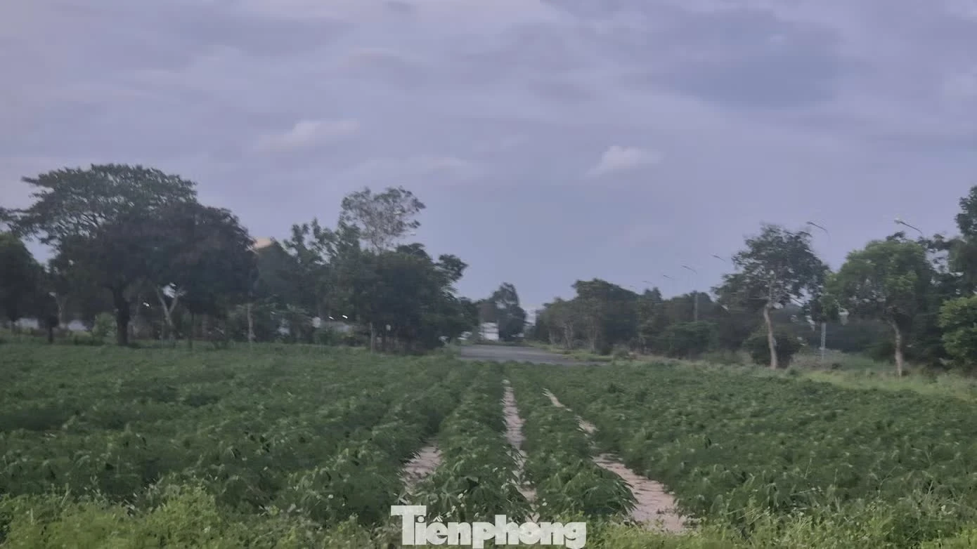 si&ecirc;u đ&ocirc; thị ảnh 17