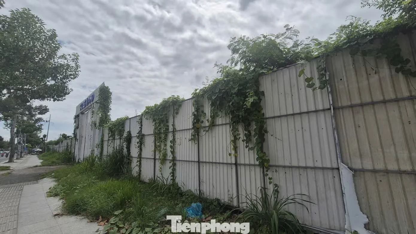 si&ecirc;u đ&ocirc; thị ảnh 2