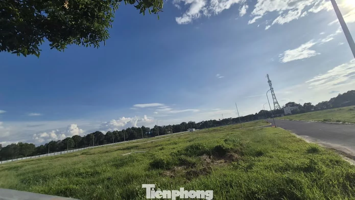si&ecirc;u đ&ocirc; thị ảnh 9