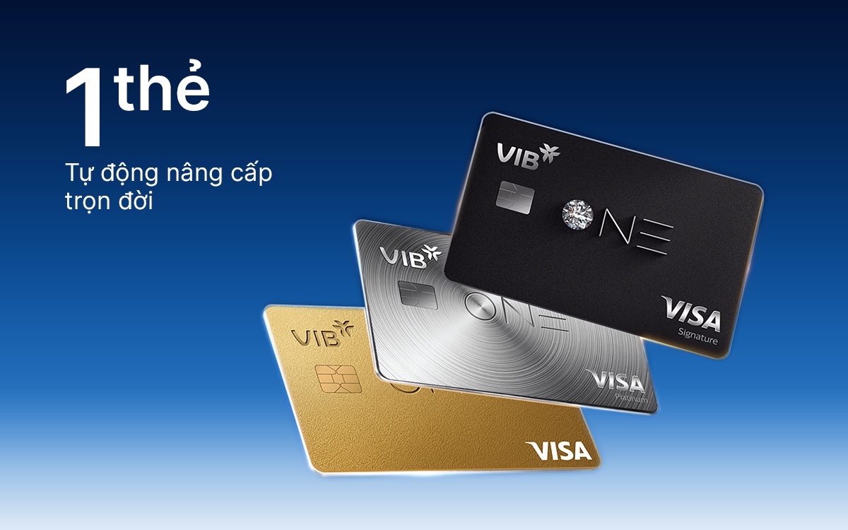 VIB ảnh 3