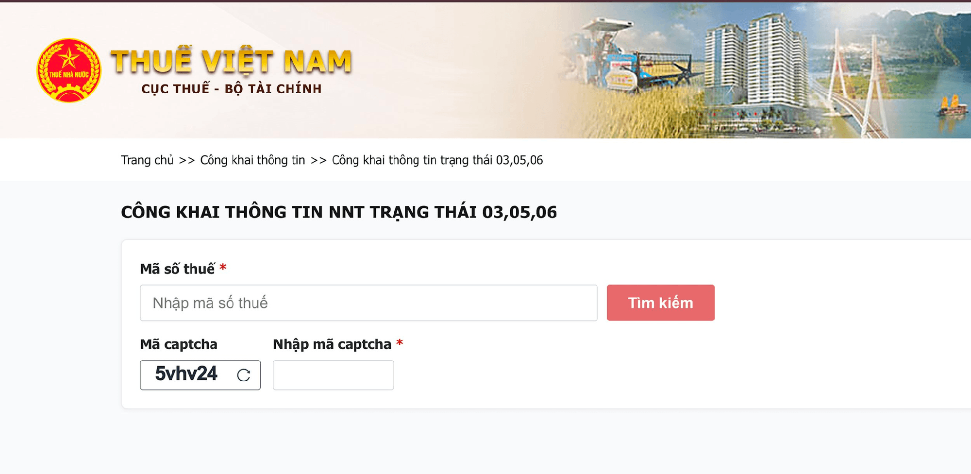 người nộp thuế ảnh 2
