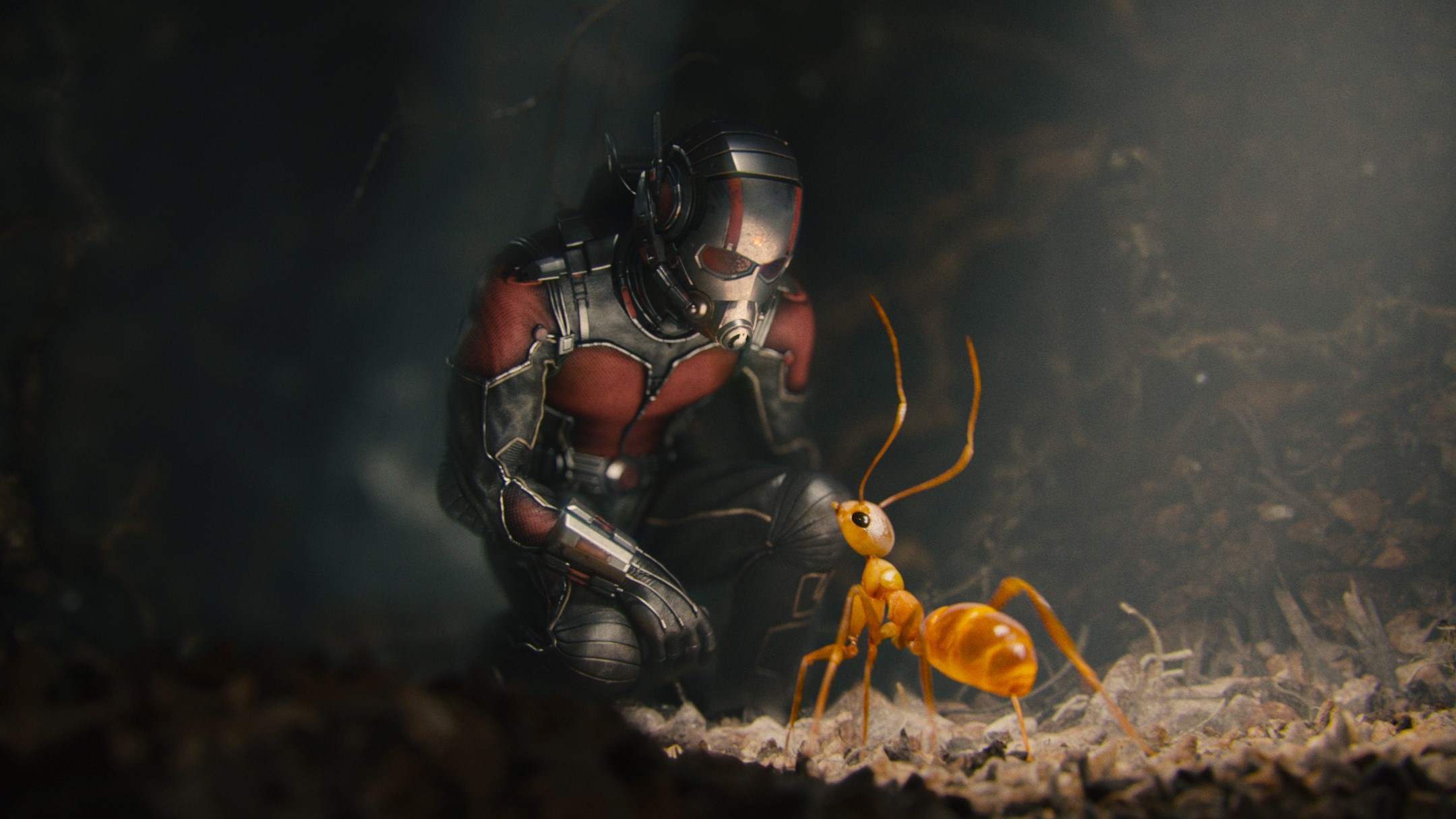 Ant-Man,  Nguoi Kien,  Marvel anh 7