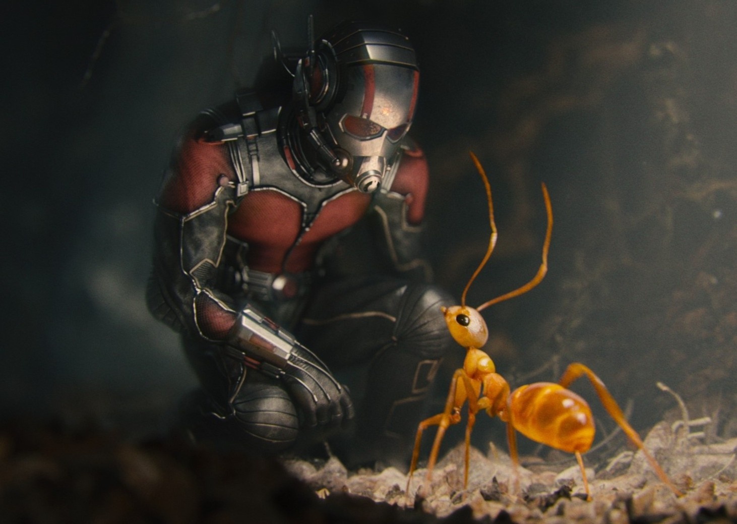 Man trinh dien an tuong nhat cua Nguoi Kien hinh anh