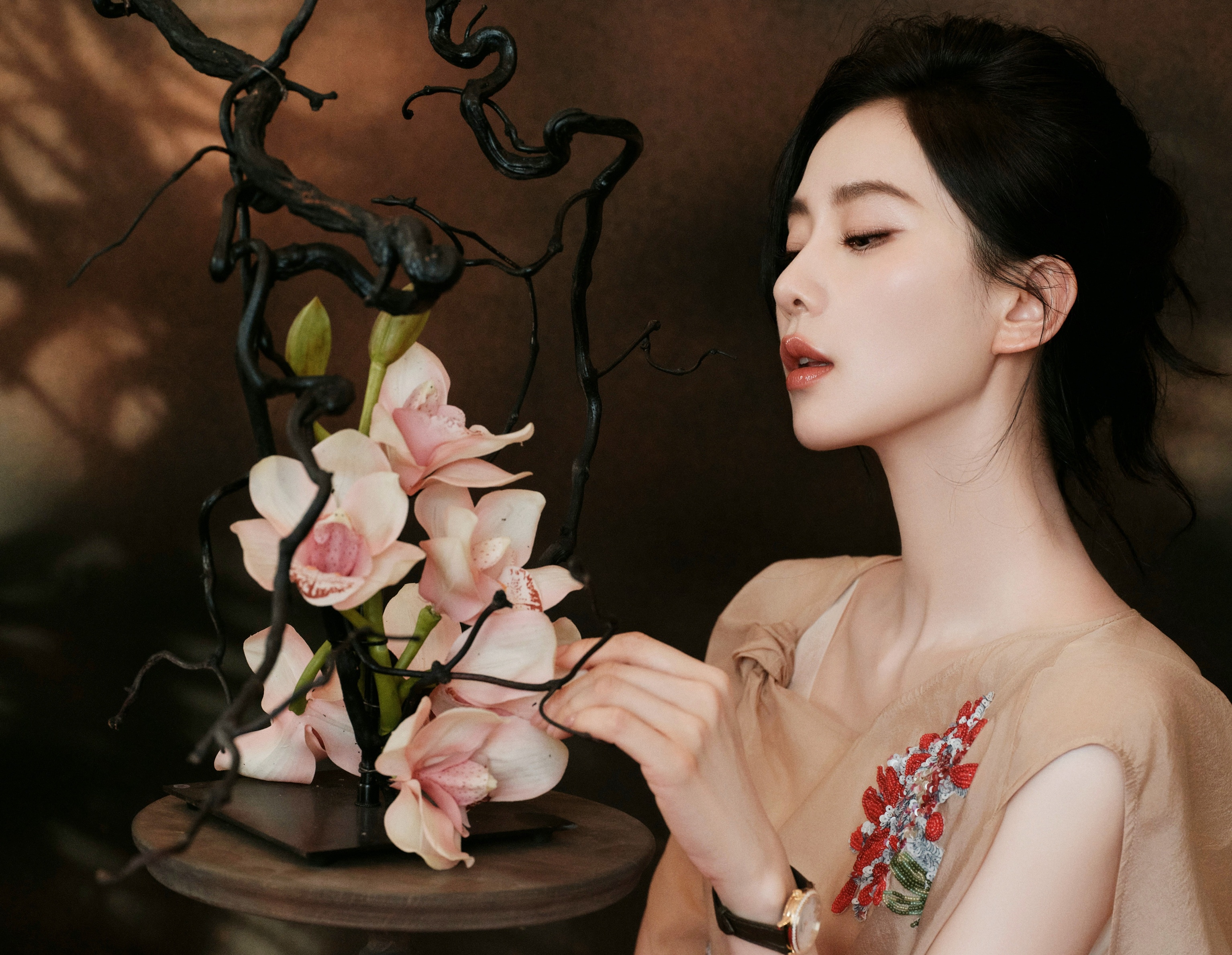 Luu Thi Thi,  Nhat niem quan son,  Luu Vu Ninh,  Duong Mich,  Trieu Le Dinh,  Luu Diec Phi anh 6