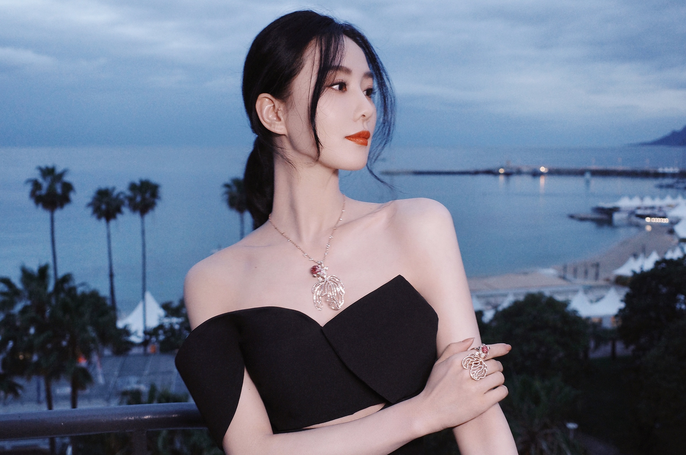 Luu Thi Thi,  Nhat niem quan son,  Luu Vu Ninh,  Duong Mich,  Trieu Le Dinh,  Luu Diec Phi anh 7