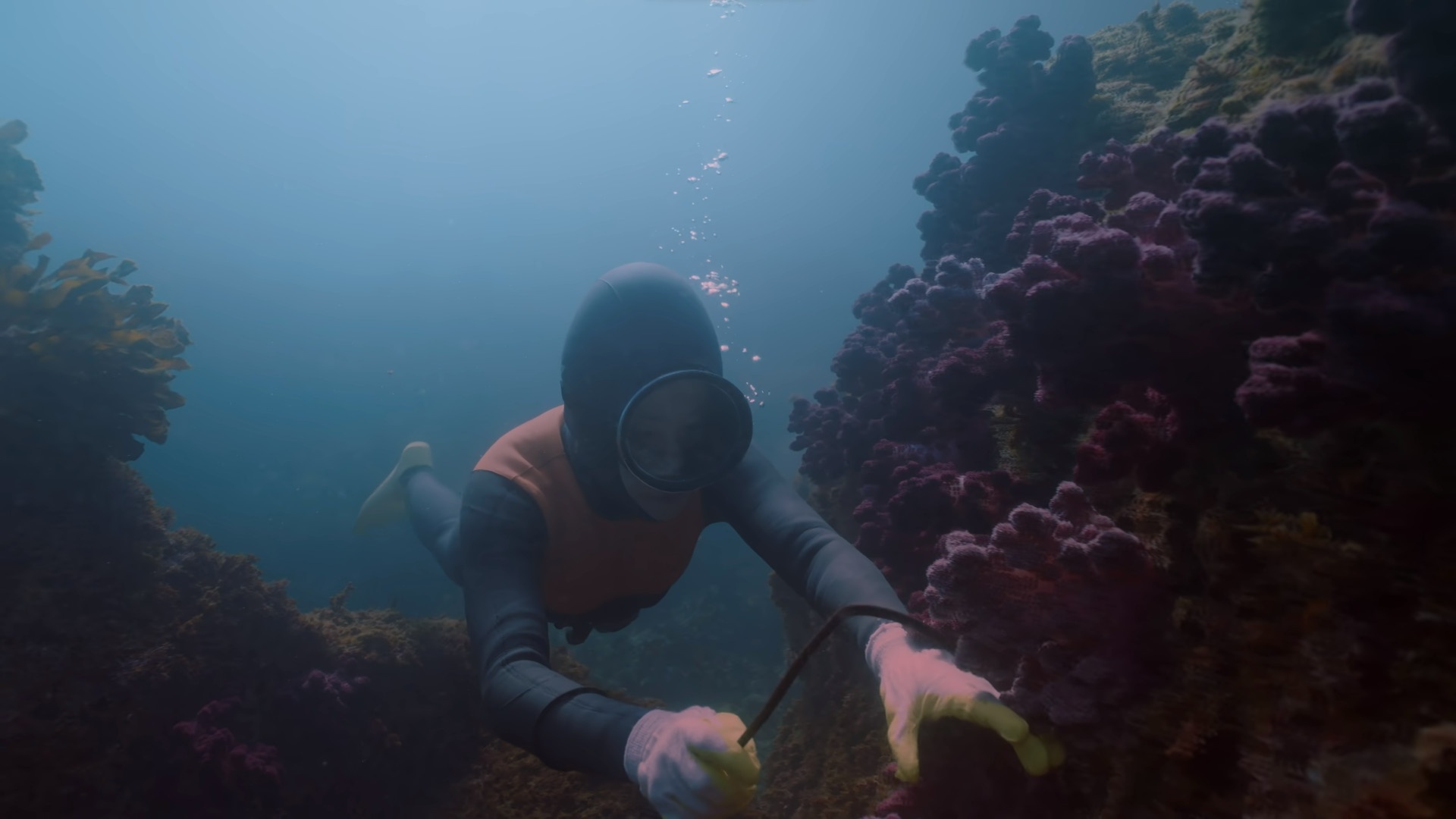 Ji Chang Wook, Welcome to Samdal-ri, Netflix ảnh 7 Ji Chang Wook, Welcome to Samdal-ri, Netflix anh 7