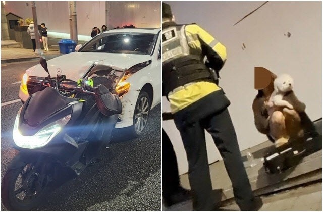 DJ,  Han Quoc,  giai tri anh 1