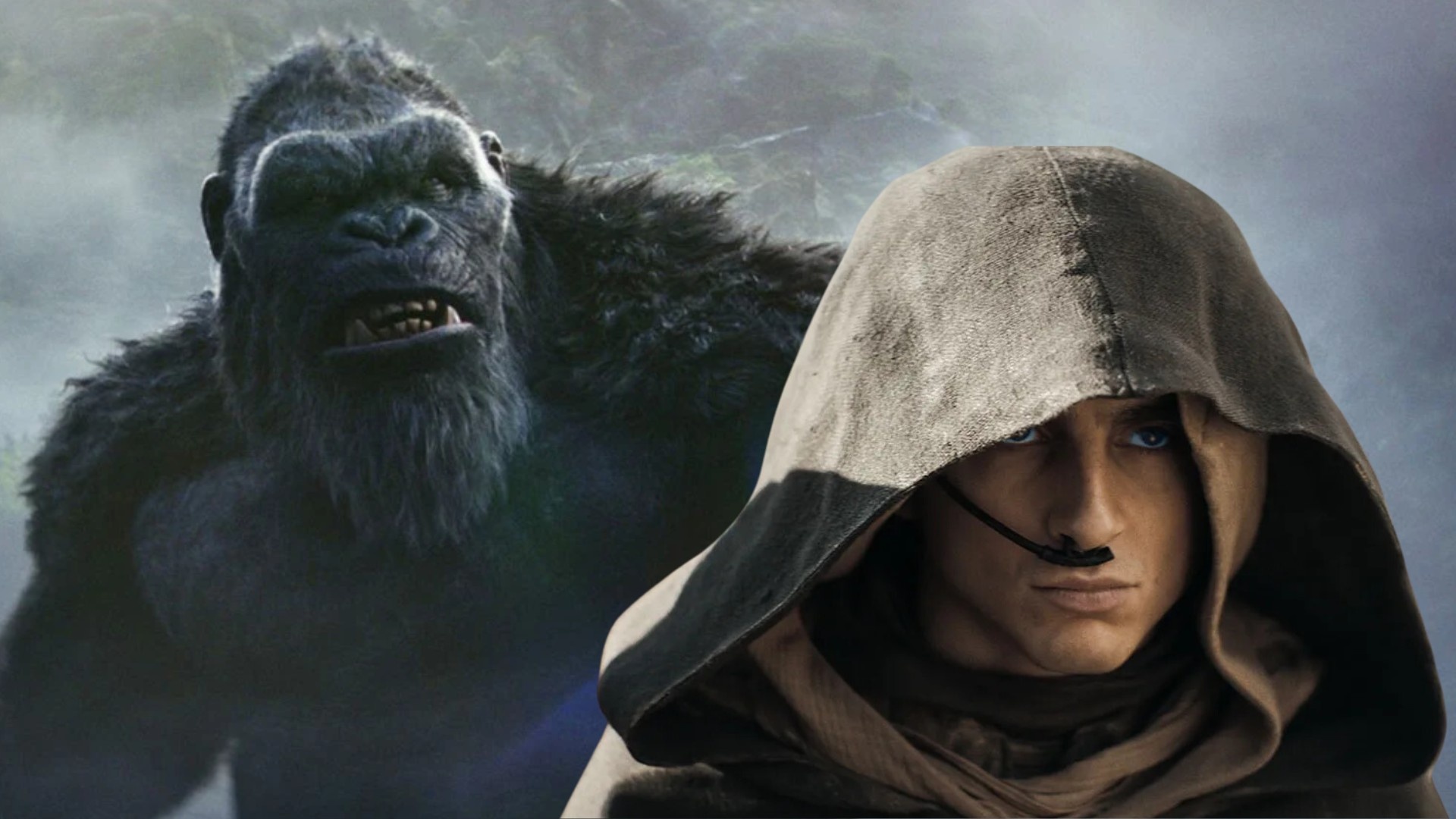 Godzilla, Kong, Dune 2, Warner Bros. ảnh 1 Godzilla, Kong, Dune 2, Warner Bros. anh 1